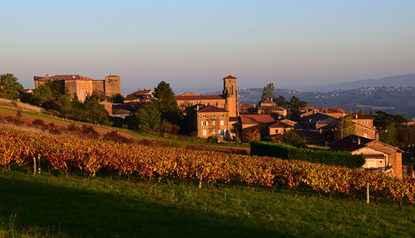 Mus&eacute;e Arsenal FC