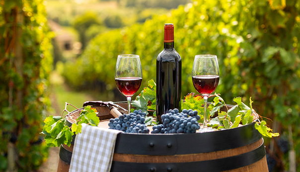 Mus&eacute;e Arsenal FC