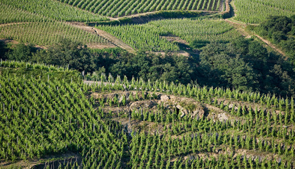 Mus&eacute;e Arsenal FC