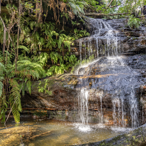 Blue Mountains