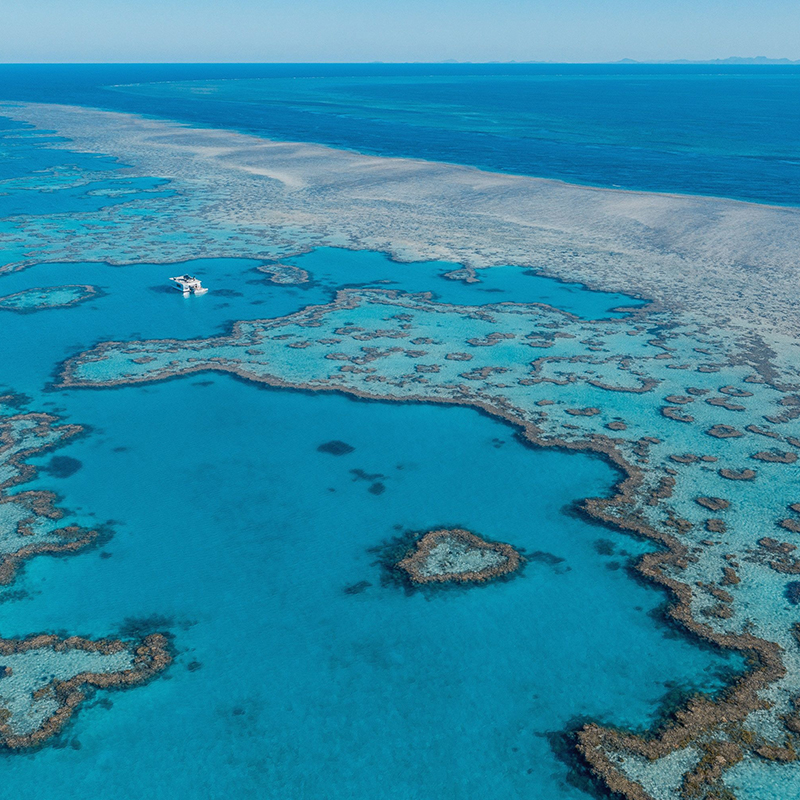 Grande Barrière de Corail