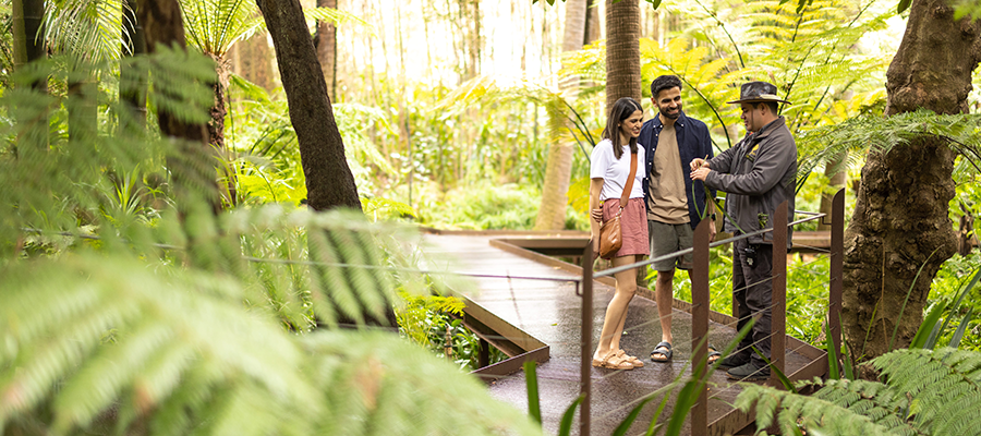 Visite guid&eacute;e de Melbourne